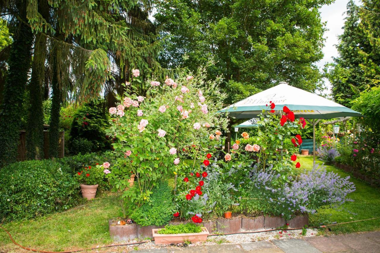 Hotel Zur Post Mulheim an der Mosel Exterior foto