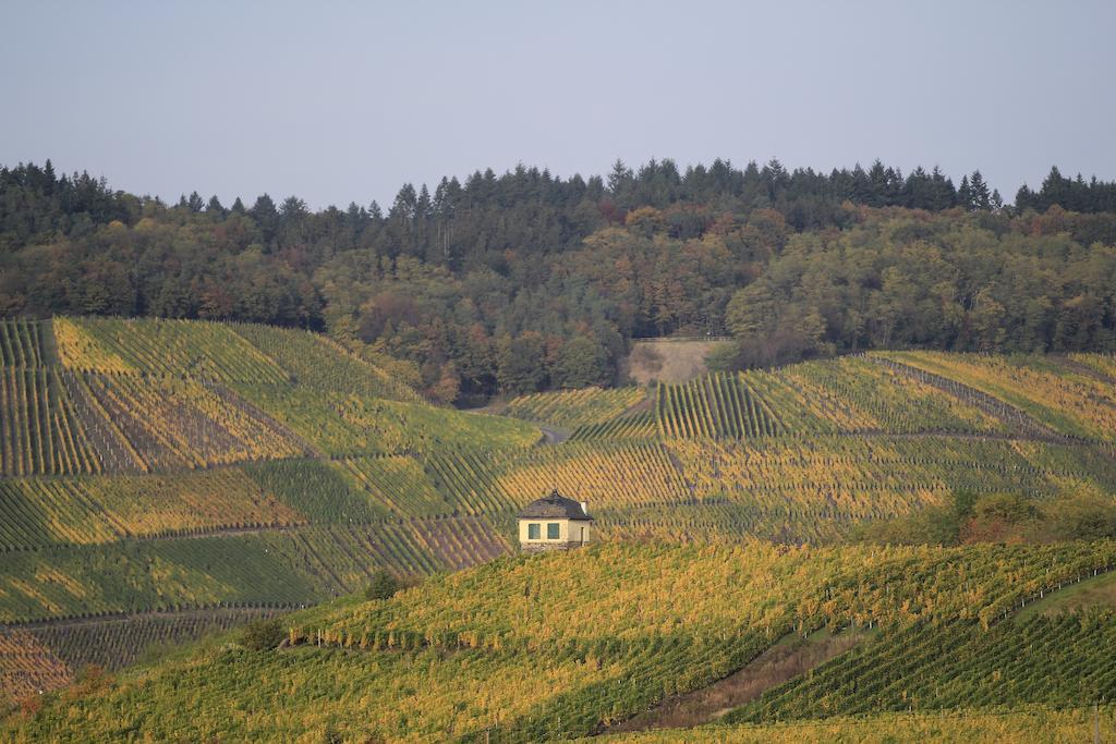 Hotel Zur Post Mulheim an der Mosel Exterior foto